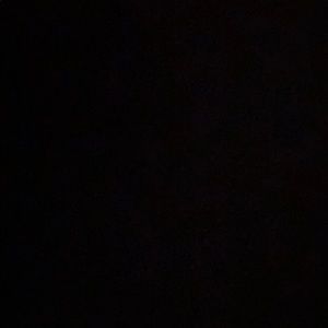 Meet your Posher, Harrison